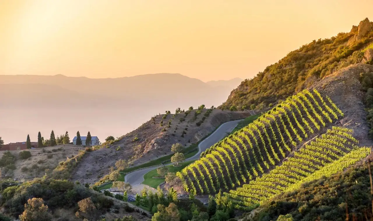 Terraced vineyard hills glowing in the Temecula Valley sunset